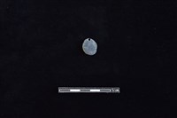 板岩片藏品圖，第2張